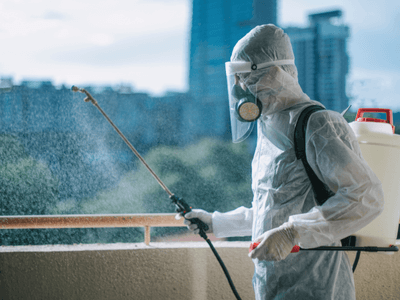 About Pest Control Chandler Az - pest control experts in Chandler, Az