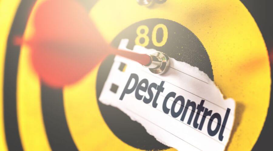 Professional pest control services in Chandler, Az - Pest Control Chandler Az